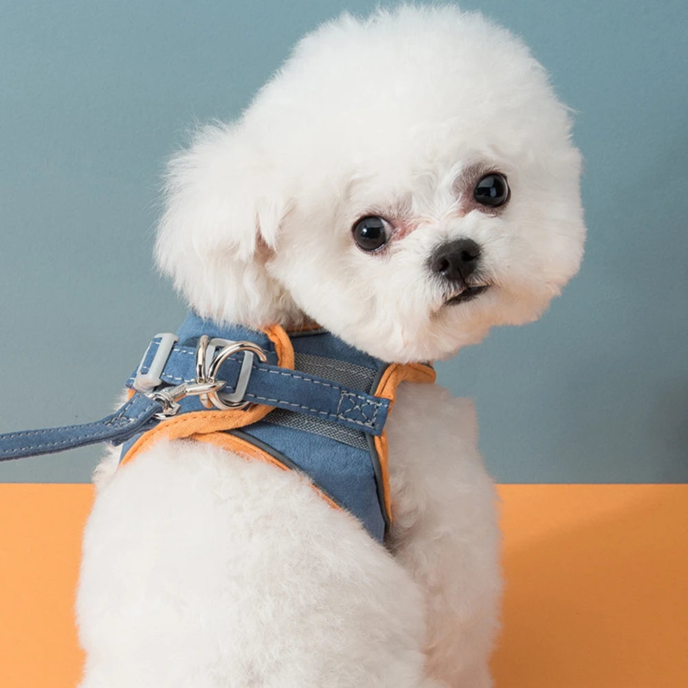 Cat & Dog Harness with Leash — Reflective Anti-Escape Vest