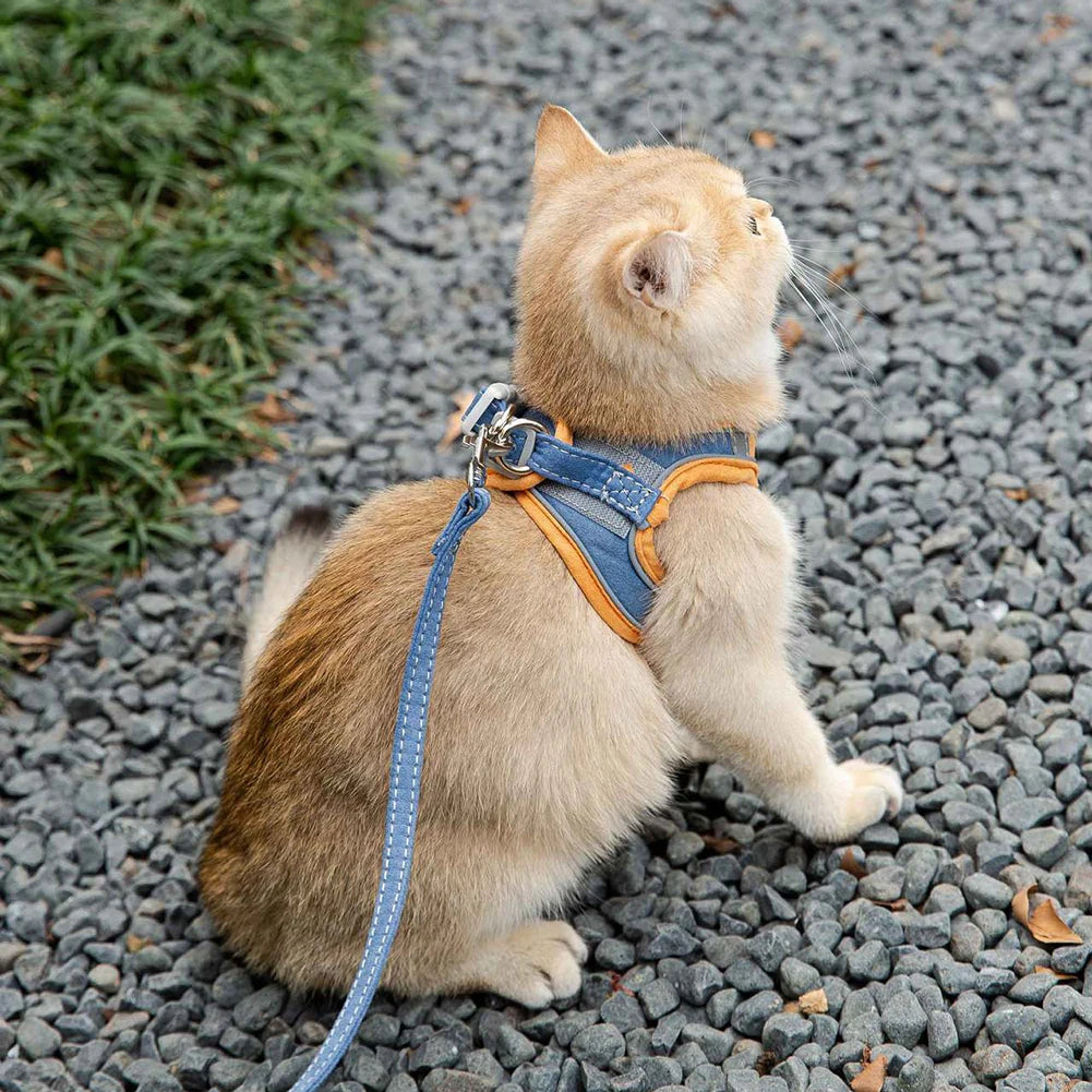 Cat & Dog Harness with Leash — Reflective Anti-Escape Vest
