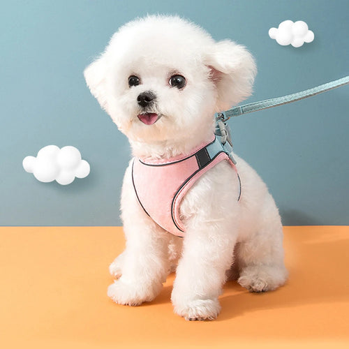 Cat & Dog Harness with Leash — Reflective Anti-Escape Vest