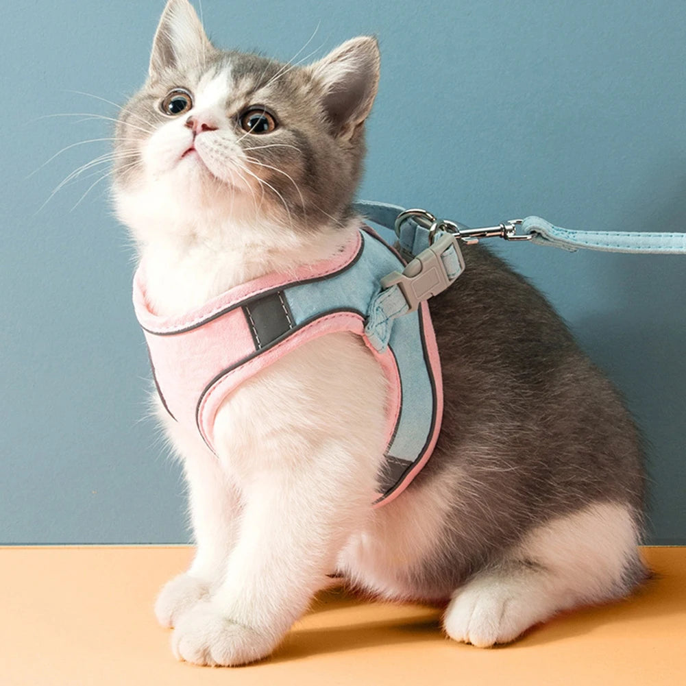 Cat & Dog Harness with Leash — Reflective Anti-Escape Vest